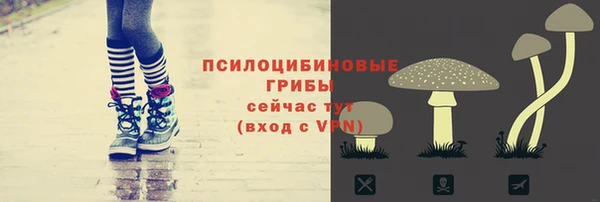 круглые Каменногорск