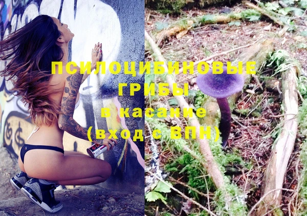 MESCALINE Инсар