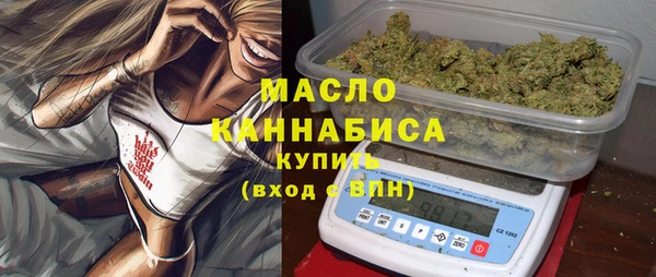 ALPHA PVP Каменка