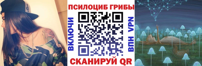 Купить закладки  Демидов  Галлюциногенные грибы ЛСД 